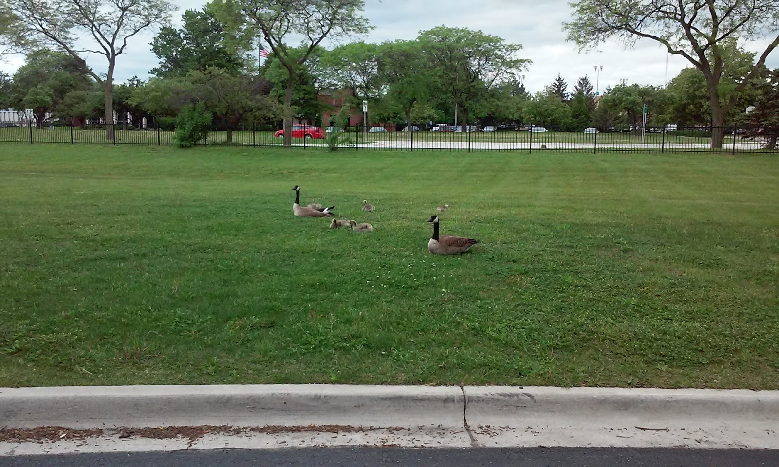 Detroit NW Northland Park in Southfield