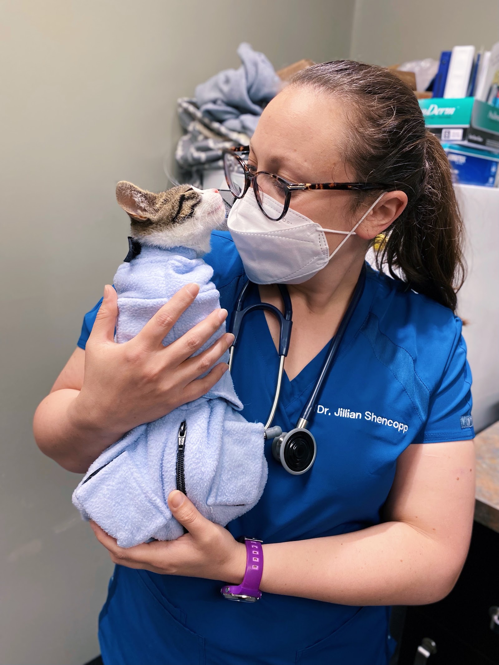 Greenfield Animal Hospital — photo