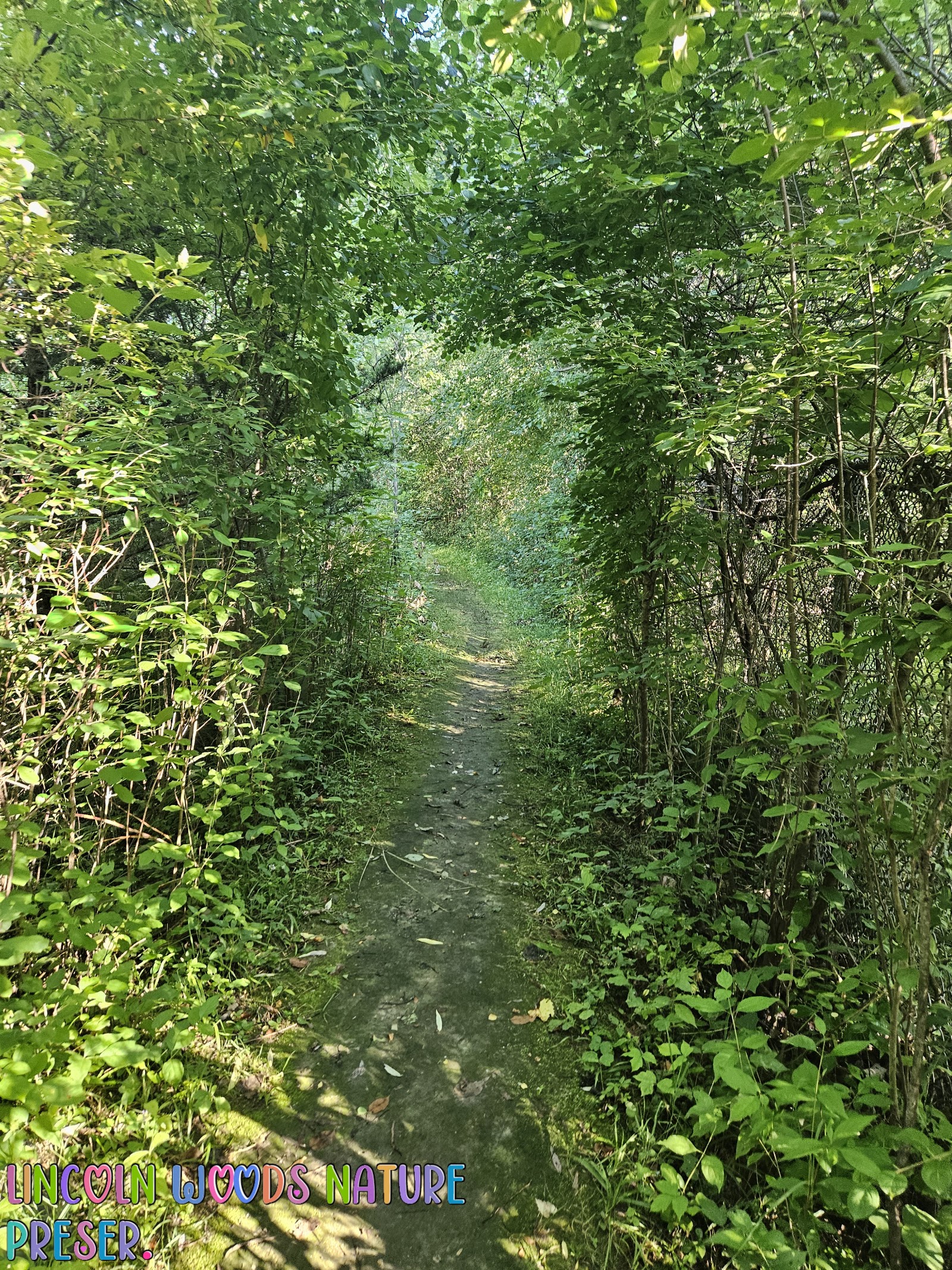 Lincoln Woods Nature Preserve in Southfield